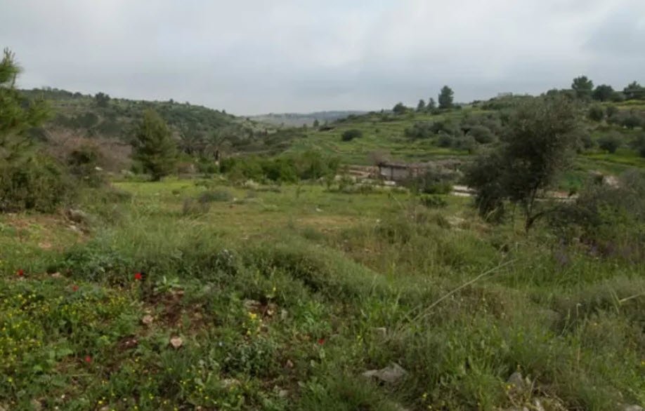 Neot Kedumim, Israel